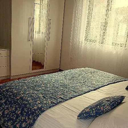 Renipol Adults Only Sutivan