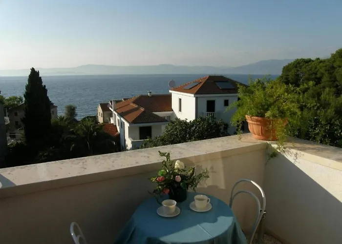 Renipol Adults Only *