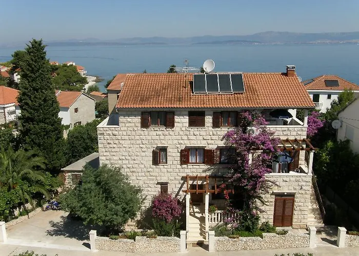 Renipol Adults Only Sutivan