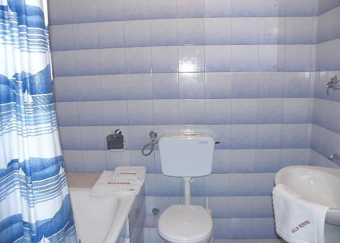 Renipol Adults Only Sutivan