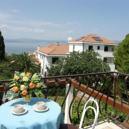 Renipol Adults Only *